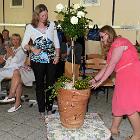 035 - 2015-07-10 13-13-19