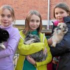 080 - Präsentationstag 2015