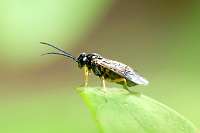 005_2017-07-07 09-30-41