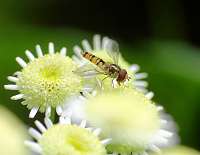 008_2017-07-07 14-43-28