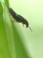 011_2017-07-07 16-30-42