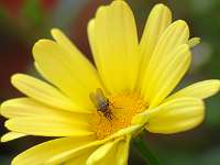 013_2017-07-07 17-19-52