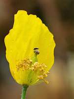 014_2017-07-10 16-38-23