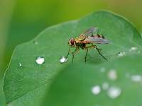 017_2017-07-10 17-16-34