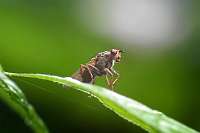 020_2017-07-10 17-21-10