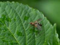 021_2017-07-10 17-24-48