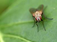 022_2017-07-10 17-47-47