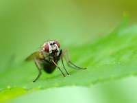 023_2017-07-10 16-47-15