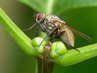 024_2017-07-10 17-53-37