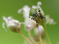 026_2017-07-10 18-13-07