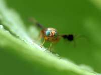 027_2017-07-10 16-43-00