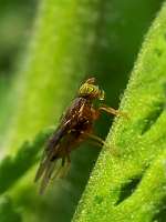 028_2017-07-10 18-17-26