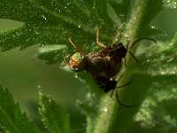 029_2017-07-10 18-22-04