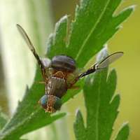 030_2017-07-10 18-26-19