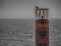 013_2013-10-12 11-45-56 FF