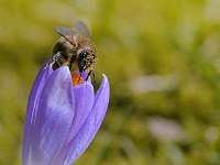 037_2013-04-02 14-30-04(1)