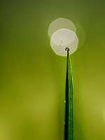 059_2014-03-24 07-48-38 ff