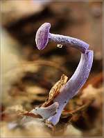 002 2017-09-29 15-21-14