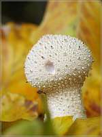 006 2017-09-29 15-30-03