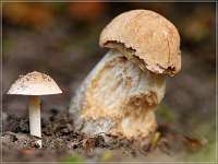 011 2017-09-29 15-55-54