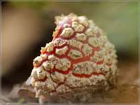 012 2017-09-29 15-53-38