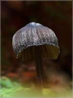 017 2017-09-29 17-03-00