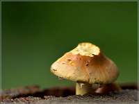 020 2017-09-29 16-05-42