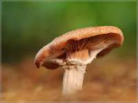 022 2017-09-29 16-15-14