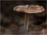 024 2017-09-29 17-12-14