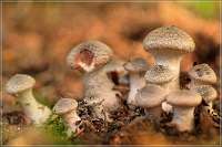 025 2017-09-29 16-19-47