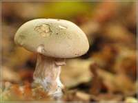 028 2017-09-29 16-49-52