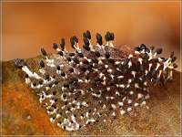 032 2017-09-29 16-46-07