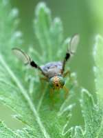 002_2017-07-07 09-11-14