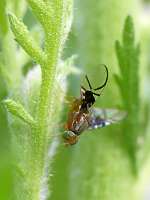 004_2017-07-07 09-08-42