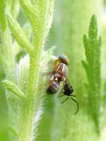 005_2017-07-07 09-08-32