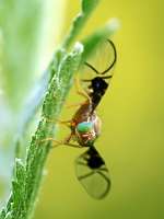 007_2017-07-07 09-05-59