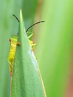 009_2017-07-07 09-22-23