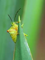 010_2017-07-07 09-23-36