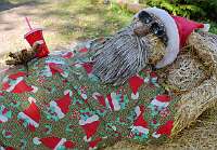 067_ 2017-08-19 15-30-26