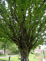 091_ 2017-08-19 17-04-07