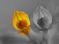022 2018-05-10 15-50-18 (2268)_Stack, Colorkey
