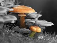 034 2012-10-13 15-28-17_Colorkey