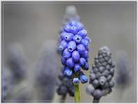 052 2012-04-18 16-30-05_Rahmen