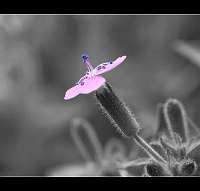 053 2012-05-19 12-57-17_ff