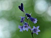 001 2018-05-11 15-06-46 (1)_Stack