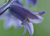 002 2018-05-11 15-15-52 (1618)_Stack