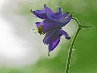 004 2018-05-10 15-01-34 (406)_Stack