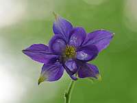 005 2018-05-10 15-00-06 (325)_Stack