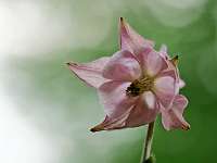 007 2018-05-10 14-54-20 (82)_Stack