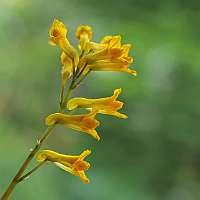 008 2018-05-10 15-44-04 (2055)_Stack_MP4